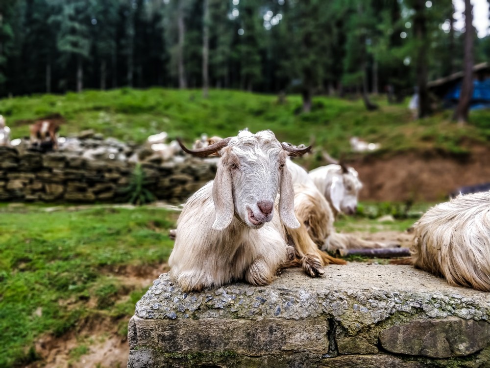 IMG_20180812_104818_Bokeh