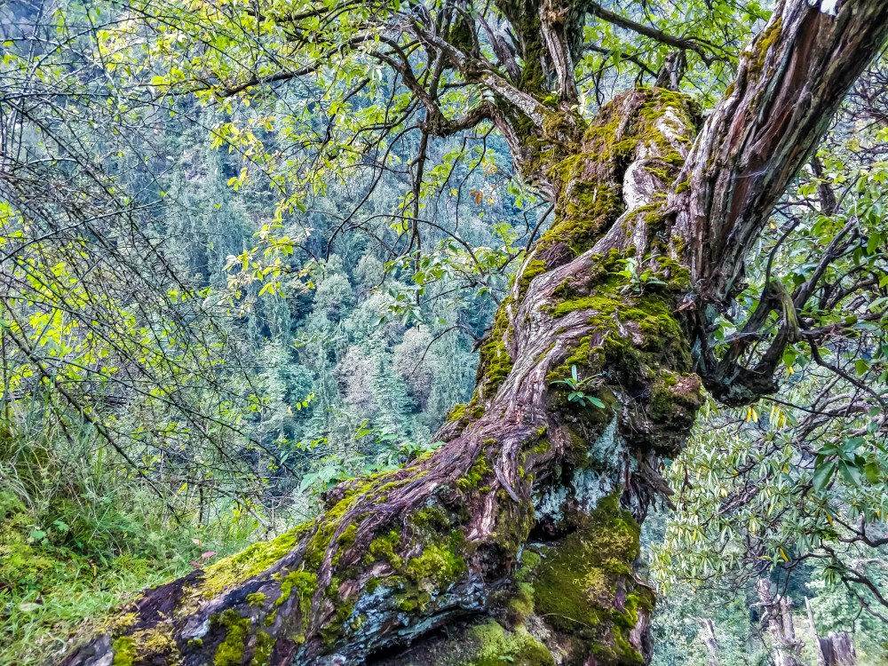 LRM_EXPORT_102015262873894_20181011_211237560