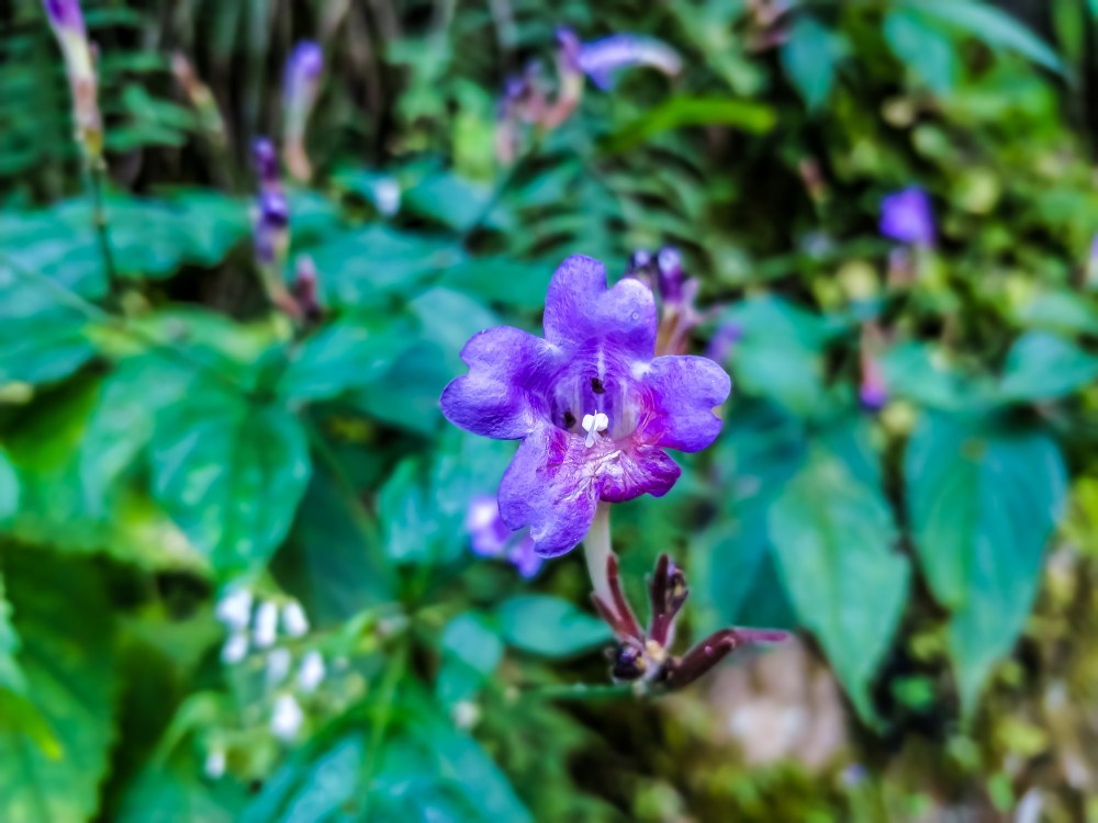 LRM_EXPORT_103325866131050_20181011_213428163